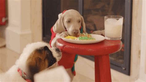 Hulu's michael schneider says of adding puppies to the holidays: The Film And TV Moments That Defined 2017 - Glide Magazine