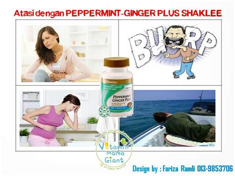 Shaklee — creating healthier lives. Kebaikan dan Kelebihan Peppermint Ginger Plus Shaklee ...