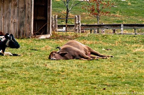 Here's more about what here is a list of our partners. New Cryptocurrency Bull-Run Already Started, Says ...