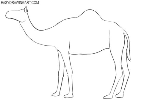 This tutorial shows the sketching and drawing steps from start to finish. How to Draw a Camel | Easy Drawing Art