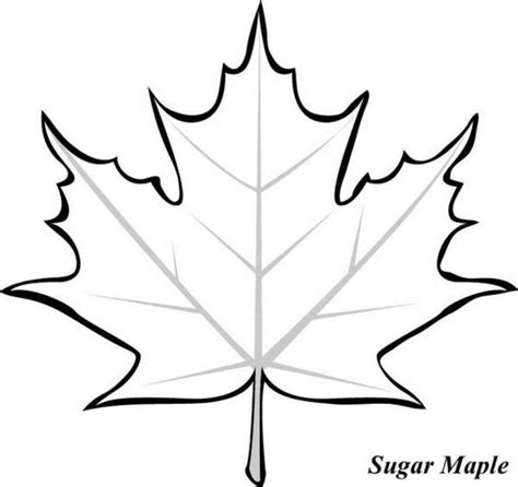 It allows your children to learn about the different types of leaves and their characteristic here is an l for leaf coloring sheet for your little one. Japanese Maple Leaf Drawing at GetDrawings | Free download