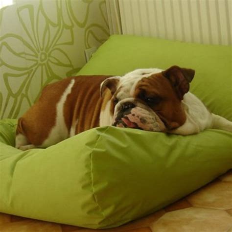 Ein gemütliches und hochwertiges hundebett gehört zur grundausstattung eines jeden hundes. Hundebetten von Dog's Companion® - Hundebetten von Dog's ...