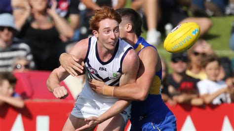 Opt in here to join the fremantle dockers shop mailing list and be contacted by the afl, afl clubs and selected partners for marketing and promotional purposes. Fremantle Dockers rookie defender Tobe Watson re-signs for ...