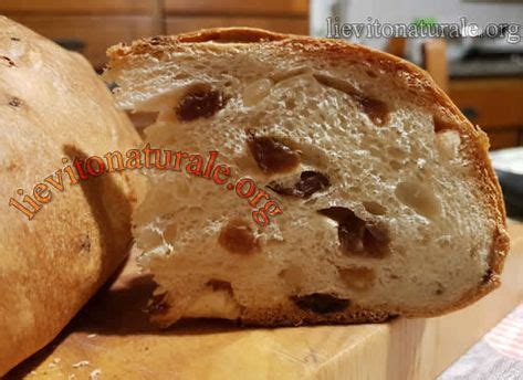 Ultimo post dell' anno e ultimo lievitato dell' anno!! Pandolce genovese alto con Lievito Naturale o Pasta Madre ...