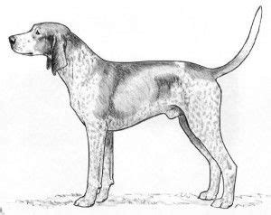 Animal coloring pages dog will please children of any age! Pin on Mich