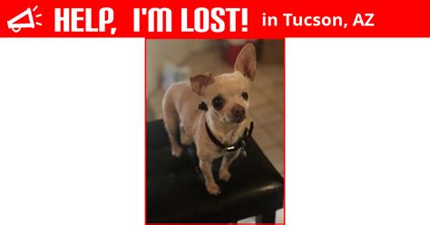 Petfinder has helped more than 25 million pets find their families through adoption. Lost Dog (Tucson, Arizona) - Diva