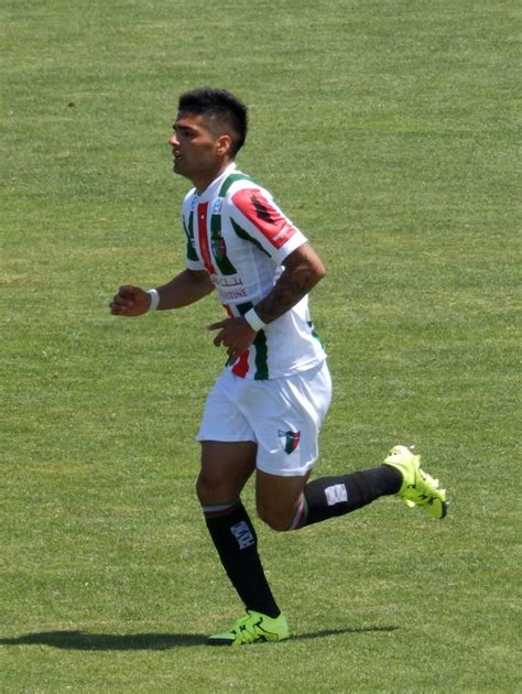 Colo colo vs curicó unido fecha hora y canal para ver en vivo y online la fecha 20 del campeonato naciona. Ver Partido Colo Colo Vs Palestino En Vivo Online Gratis ...