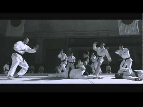 These are from many different sources. Best Fight Scene Ever (ip Man) - YouTube