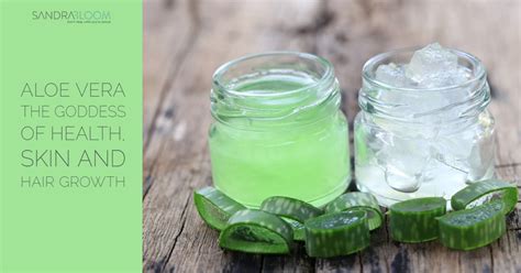 Aloe vera is an excellent natural moisturizer and skin conditioner. Aloe Vera - The Goddess of Health, Skin and Hair Growth ...