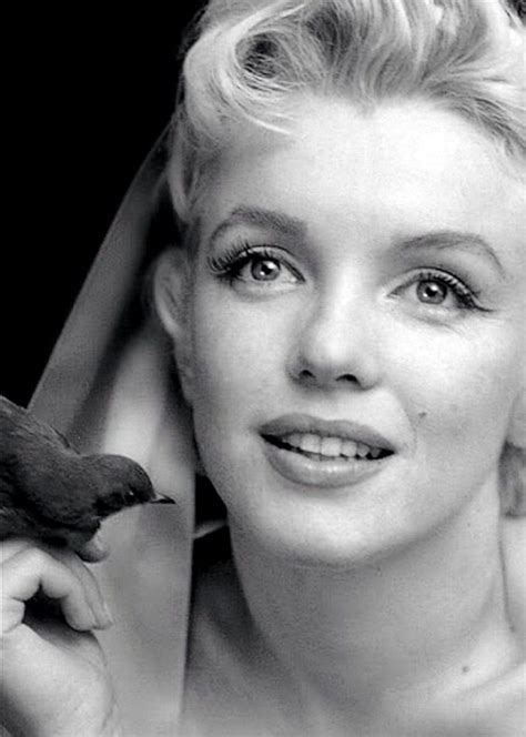 Welcome to the official yts.mx (.lt) website. 39 best images about MARILYN MONROE RARE PHOTOS on Pinterest