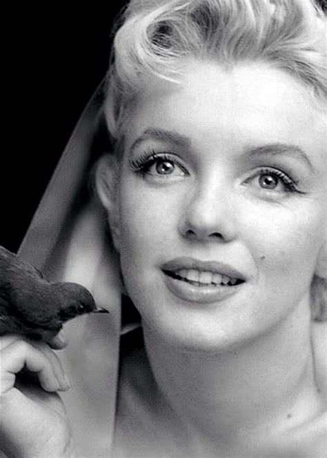 We tried to teach him but he already knew it. 39 best images about MARILYN MONROE RARE PHOTOS on Pinterest