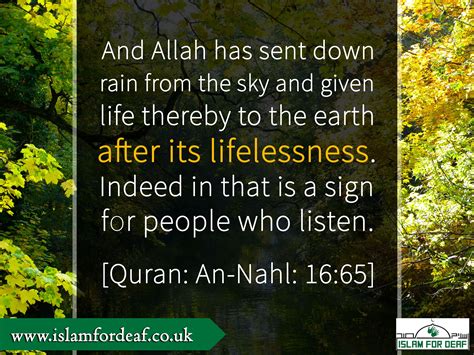 We did not find results for: And Allah has sent down rain from the sky and given life thereby to the earth.... | Beautiful ...