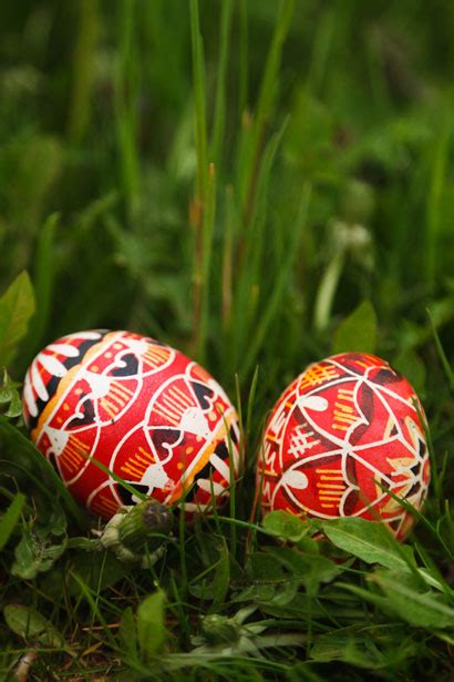 You can discover the first one by. Easter Eggs In Grass Free Stock Photo - Public Domain Pictures