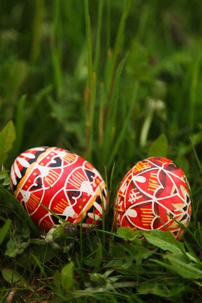 11 surprising google easter eggs. Easter Eggs In Grass Free Stock Photo - Public Domain Pictures