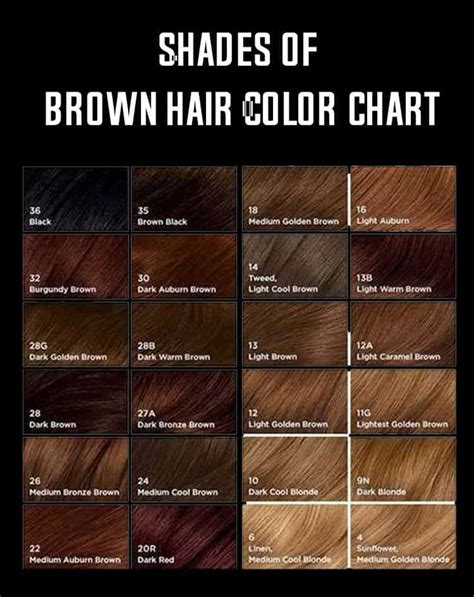 Reference or print these shade charts for your salon. Shades Of Brown Hair Color | Brown hair shades, Brown hair ...