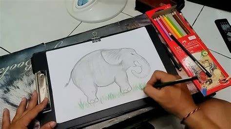 Membuat ikat celup bisa menjadi cara yang menyenangkan dan kreatif untuk menambahkan sentuhan pribadi pada pakaian atau barang. DRAWING || Cara Menggambar - Gajah - YouTube