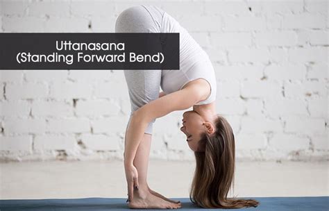 Browse our extensive yoga pose library, with a vast collection of basic poses, advanced poses, seated and standing poses, twists, and bandha techniques. 7 Baba Ramdev Yoga Asanas For Better Hair | Ramdev yoga ...