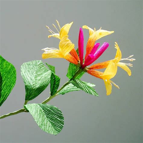 Maybe you would like to learn more about one of these? Honeysuckle flower means sweet disposition which might ...