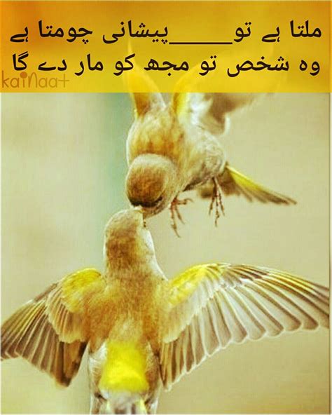 Please post the full quote in the. Pin by Fatima on Devotion | Urdu poetry, Deep words, Poetry