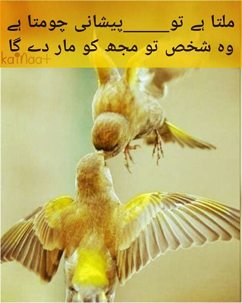 Check spelling or type a new query. Pin by Fatima on Devotion | Urdu poetry, Deep words, Poetry