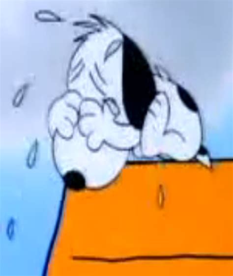 That deserves rebuke or censure. Image - Snoopy crying.png | The Parody Wiki | FANDOM ...