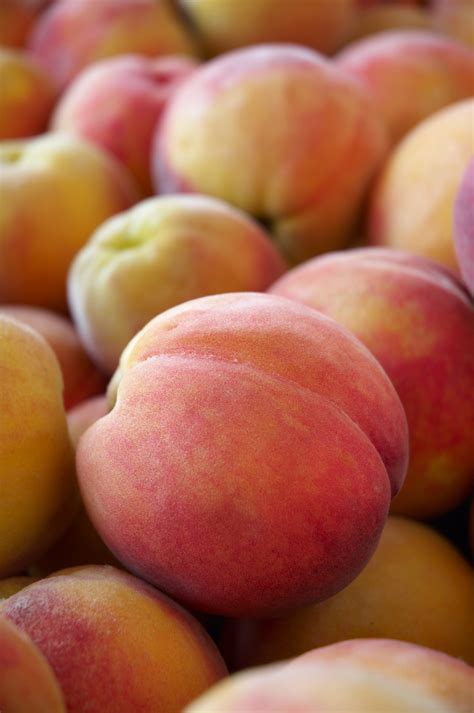 Jun 18, 2020 · peaches star in recipes to enjoy for breakfast, lunch, dinner, and dessert. Peaches