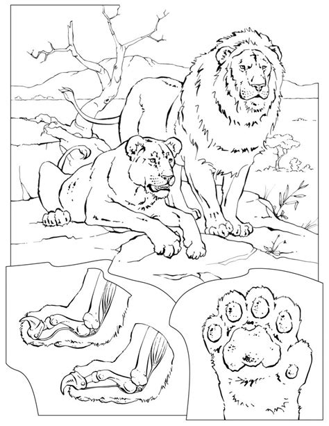 The lion and the mouse. Pride Coloring Pages at GetColorings.com | Free printable ...