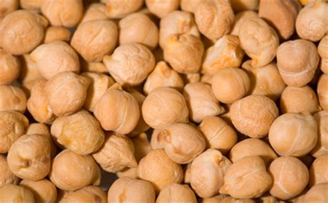 No obstante, puedes prepararlos en una olla de cocción lenta como también en el horno. Cómo cultivar garbanzos | EcoHortum