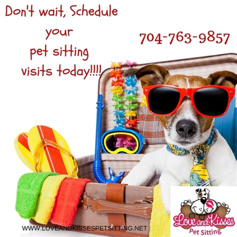 Compare your options by reading about their experience, services they. Pet Sitter in South Charlotte, Rated #1 Pet Sitting and ...