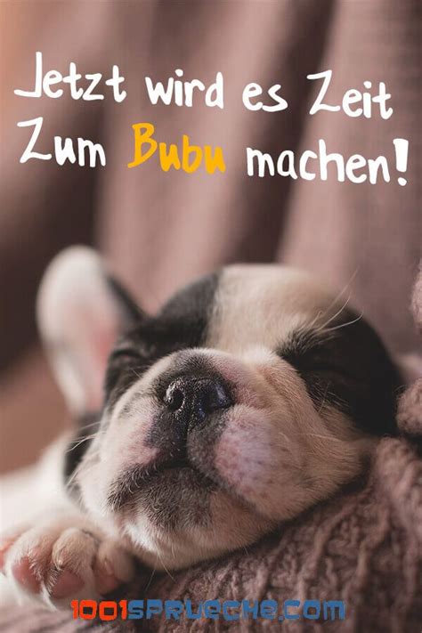 Wünsche deinem schatz und deinen freunden eine gute wir haben dir hier eine sammlung an schönen und lustigen gute nacht sprüchen zusammengestellt. GUTEN NACHT (+ 49 Bilder ) Für mein Schatz | Babyhunde ...