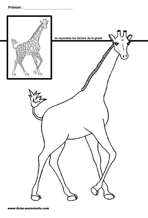 Tu aimerais mettre enfin un terme à ces tentatives désespérées et vaines d'avoir des abdos en béton ? 68 best images about animaux sauvages et Afrique on Pinterest | Arts plastiques, Animaux and A lion