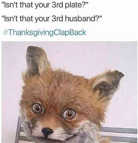 Check spelling or type a new query. 30 Of The Best And Funniest Thanksgiving Memes Of All Time