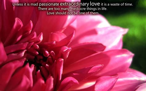 See more ideas about quotes, love quotes, best love quotes. Passionate Love Quotes From Movies. QuotesGram