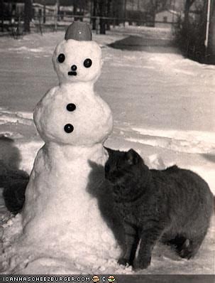 Funny winter snowman 2013 picture hd wallpaper. Snowman and cat | Snowmen pictures, Snowman, Outdoor ...