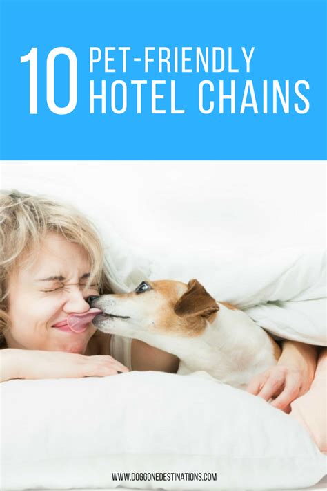 Each state has town lists, state maps and more. 10 Pet-Friendly Hotel Chains That You Need to Know About ...