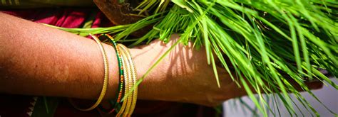 Pests of alfalfa grown for seed. Women find identity, path of progress, as farmers ...