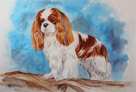 Jun 16, 2021 · cavalier king charles spaniel: Catherine Temple: Cavalier King Charles Spaniel Portrait