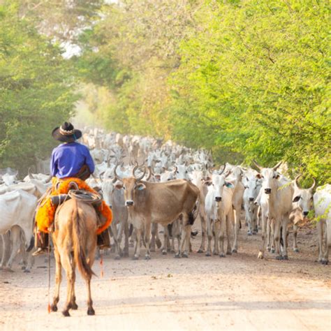 Paraguay auswandern & ausreise ✔ leben wie ein millionär, ohne einer zu sein! Auswandern nach Paraguay - Paraguay Spirit