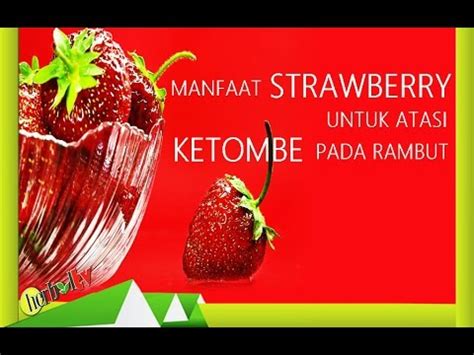 Kandungan vitamin a dan vitamin k yang terdapat pada buah delima berfungsi untuk rambut. Manfaat Buah Strawberry Untuk Atasi Ketombe Pada Rambut - YouTube