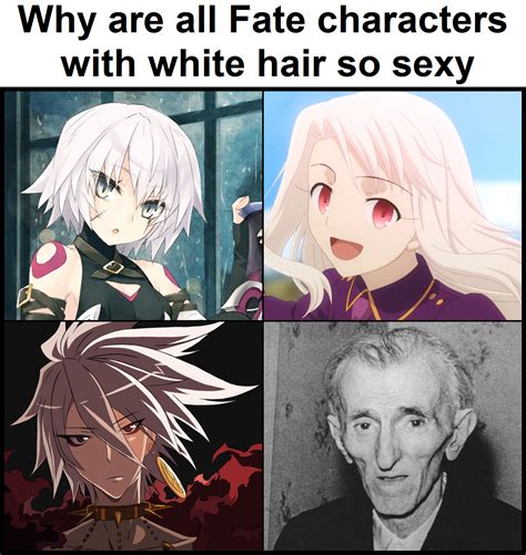 Every anime lovers might have wanted to try these hairstyles once or twice! White hair Fate characters make the best waifus : grandorder