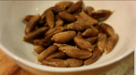 Kandungan vitamin c di dalam jambu biji berperan sebagai antioksidan, yang berguna untuk melindungi tubuh. Jangan Buang Biji Kurma Selepas Makan, Ketahui Khasiat ...