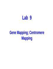 Determine the phenotype for each genotype using the information provided about spongebob. bikini-bottom-genetics-2-key (1) - Bikini Bottom Genetics 2 Answer Key 1 A long nose B blue body ...