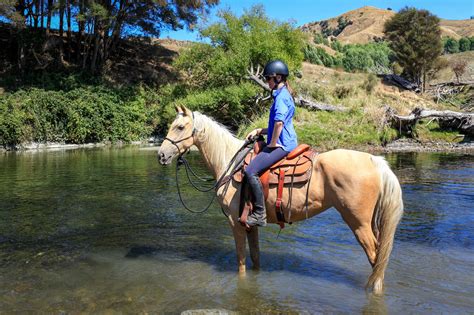 Bicyclists, walkers, fishermen, snowmobilers & more use the rrvt. The River Valley Ride | Horse Riding Holidays New Zealand ...