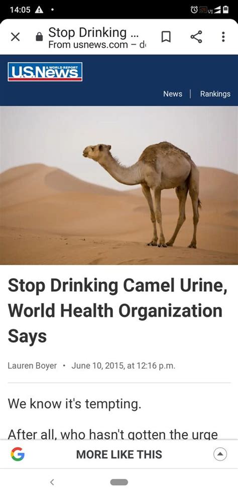 People should avoid close contact with animals, particularly camels, when visiting farms, markets, or barn areas where the virus. Islamic Corona Treatment: Imam Advises People To Drink ...