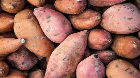 Black sesame seeds, potato, sugar, vegetable oil. Tongan Sweet Potato : Pdf Better Nutrition For The ...