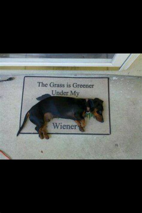 28th, 2005 | 09:24 pm music: The grass is greener under my weiner : aww