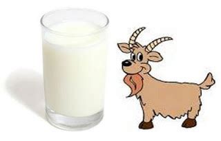 Nah, selain susu kambing biasa, ternyata terdapat juga susu kambing etawa. 14 MAKANAN TAMBAH DARAH DAN NAIKKAN HB LOW KETIKA HAMIL ...