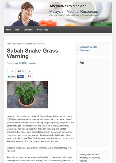 Sabah snake grass (clinacanthus nutans) has become one of my favorite herbs to nibble at. Calaméo - Sabah Snake Grass Warning (English)