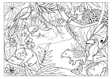 My fifth and sixth grade students have been working with chalk pastel recently in the art room, so we created these adorable chalk rainforest animals to go. Rainforest And Jungle Animals Coloring Page Free To Print ...