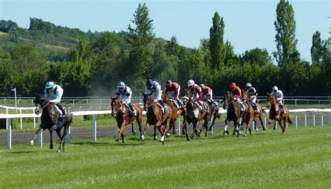 風吹けば名無し 2021/06/14(月) 16:41:23.66 id:+psmnhux0 ってどの馬？ 【なんj競馬】東京芝2400mで最強の競走馬 競馬まとめのまとめ 競走馬の名前の付け方は？厳格なルールやネーミング事例を ...